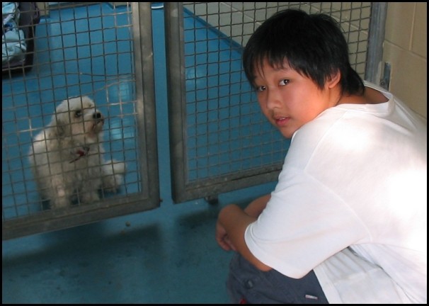 BCSPCA OCT 2006 024.jpg